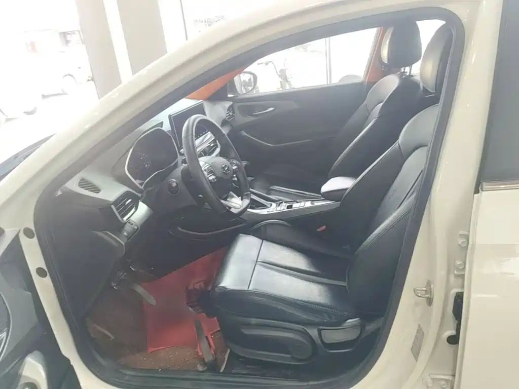 Hyundai Fista — миниатюра 15