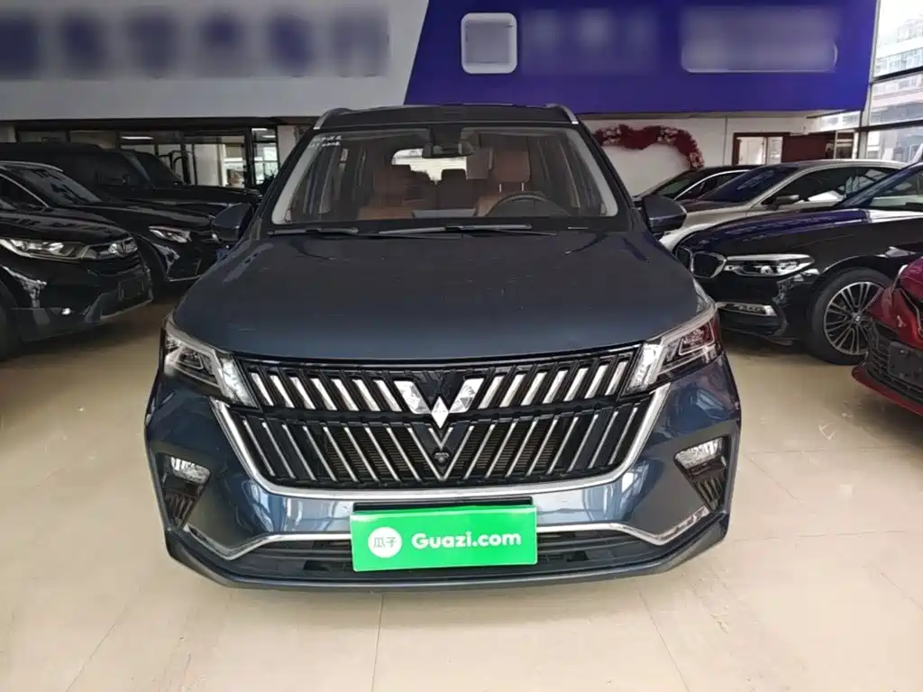 Wuling Jiachen — миниатюра 3