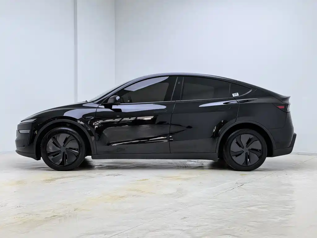 Tesla Model Y — миниатюра 4