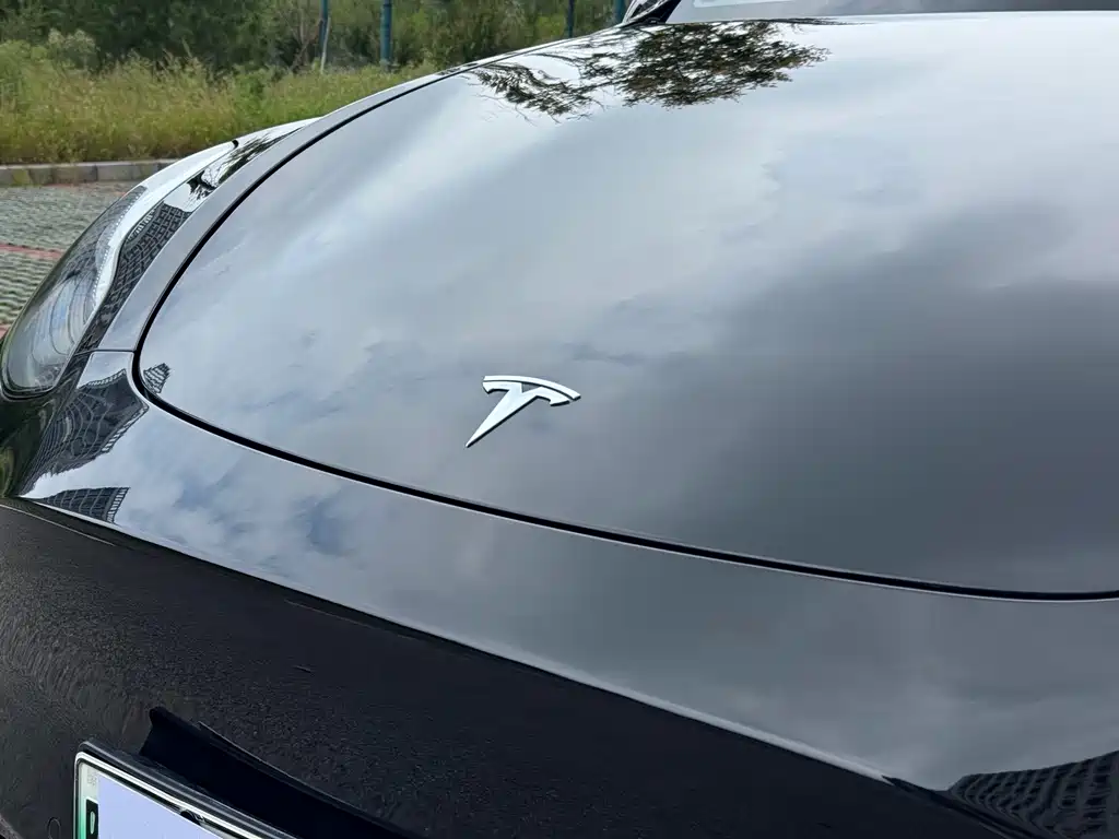 Tesla Model Y — миниатюра 9