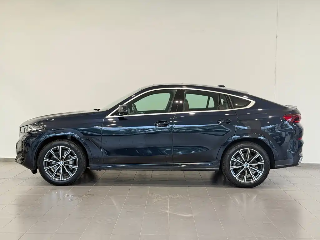 BMW X6 — миниатюра 2