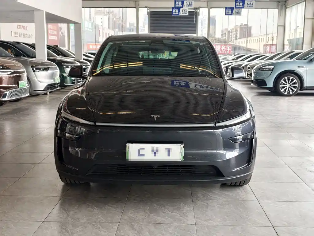 Tesla Model Y — миниатюра 2