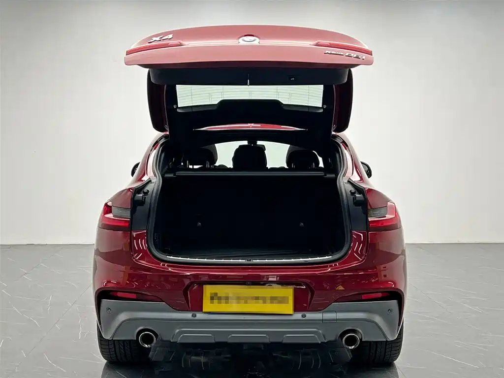 BMW X4 2019 xDrive25i M