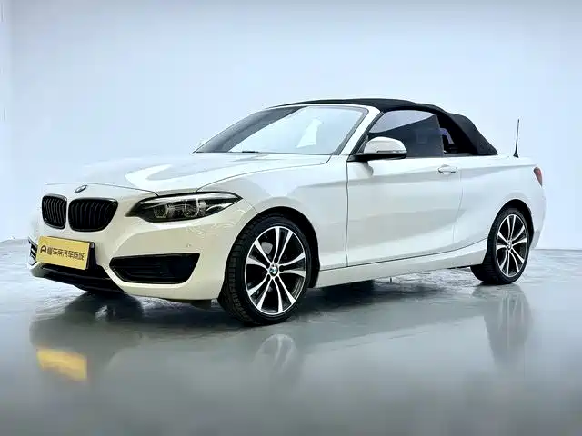 BMW 2 Series (Import)