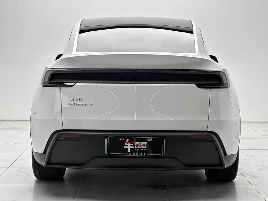 Tesla Model Y — миниатюра 5