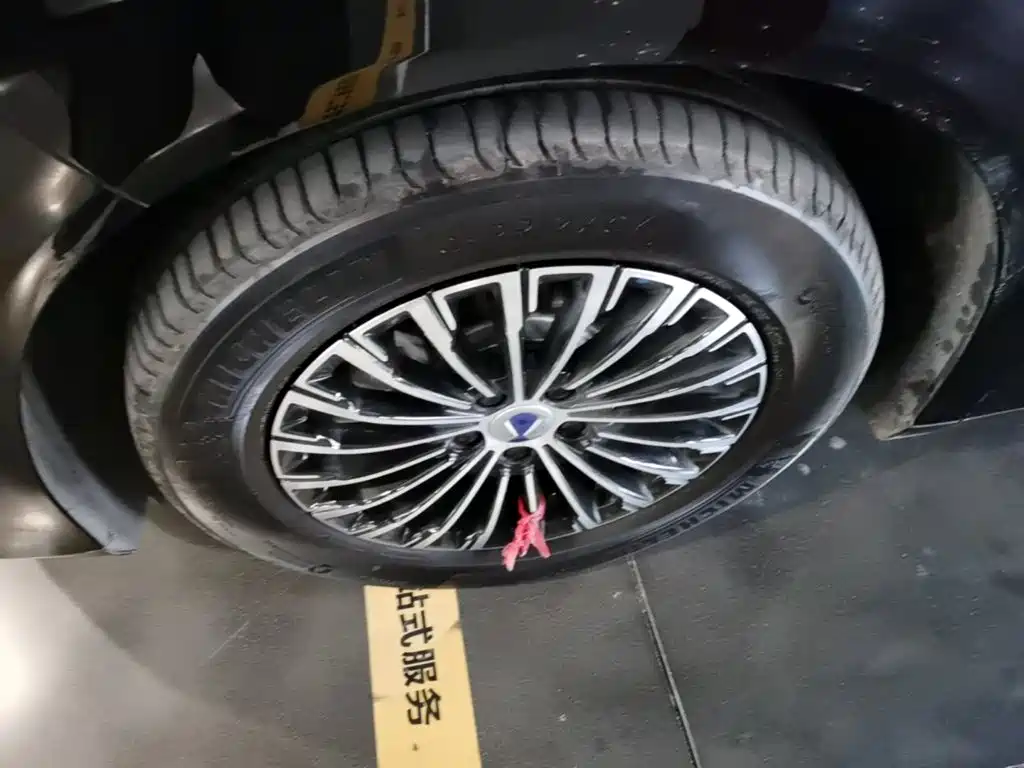 Denza Denza D9 — миниатюра 23