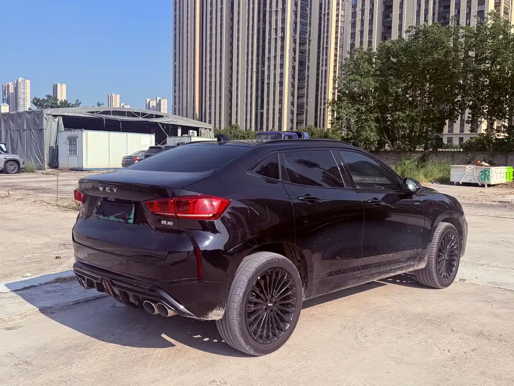 Wey Wey VV7 New Energy — миниатюра 10