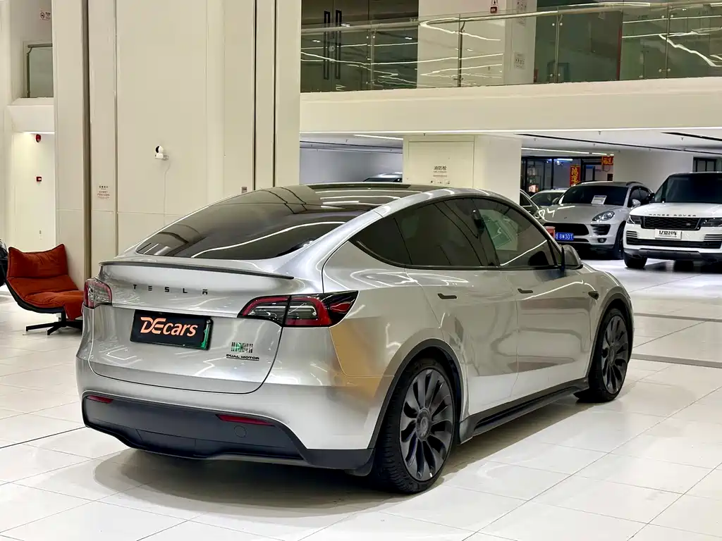Tesla Model Y — миниатюра 4