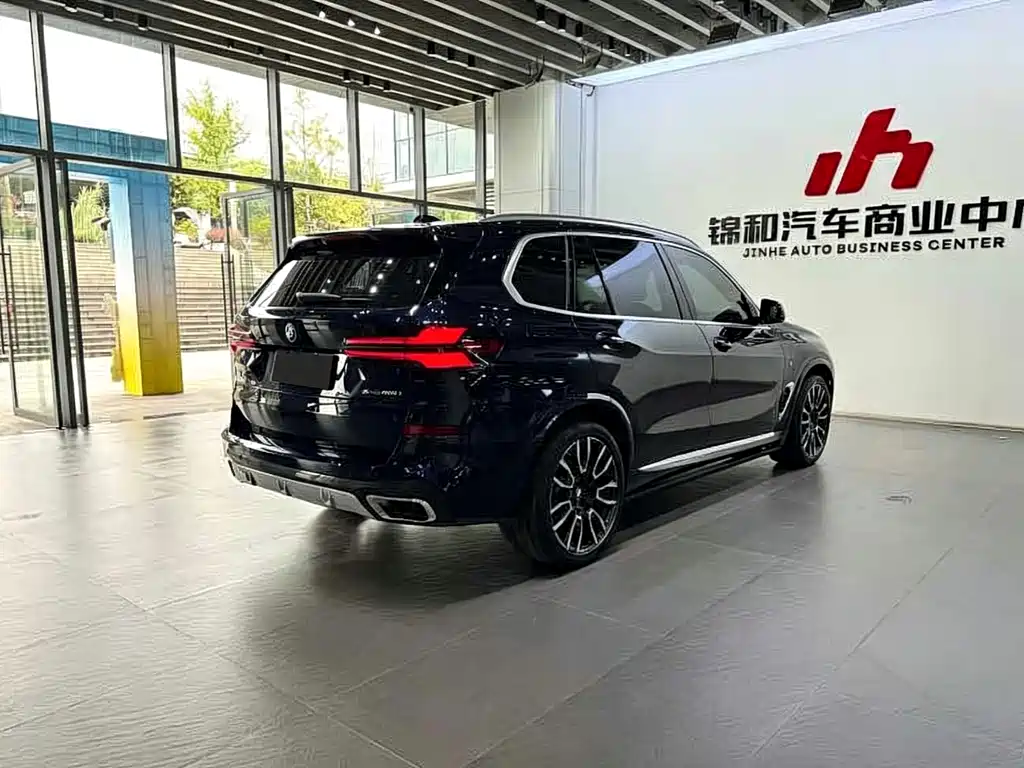 BMW X5 — миниатюра 11