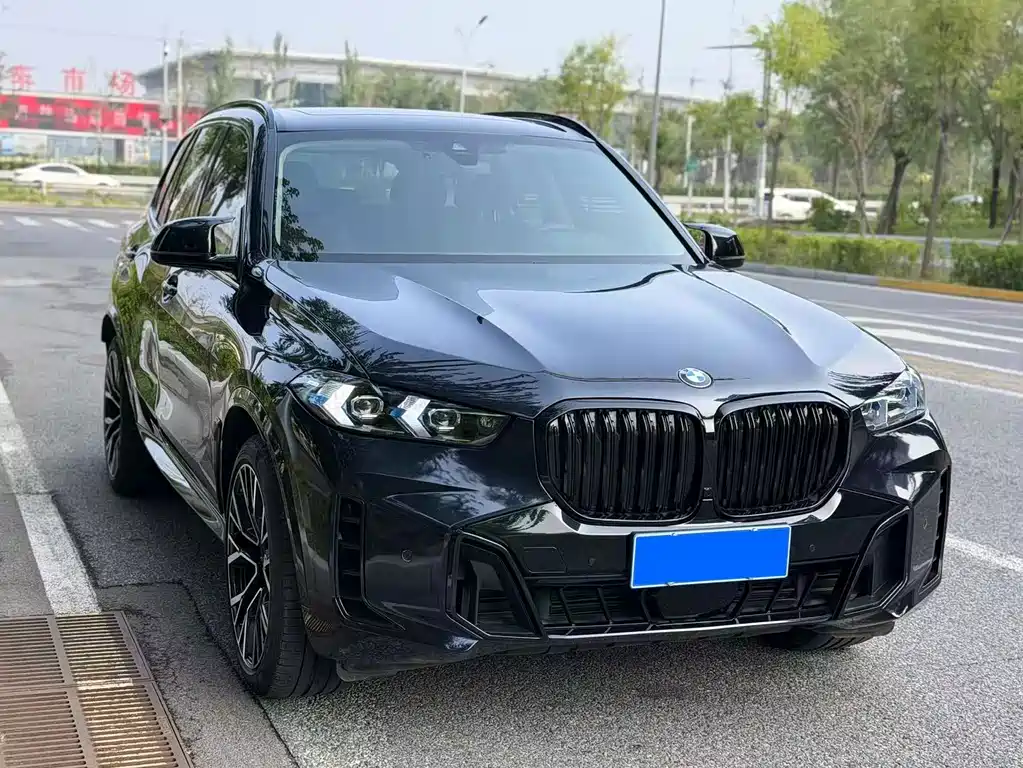 BMW X5 (Import) — миниатюра 6