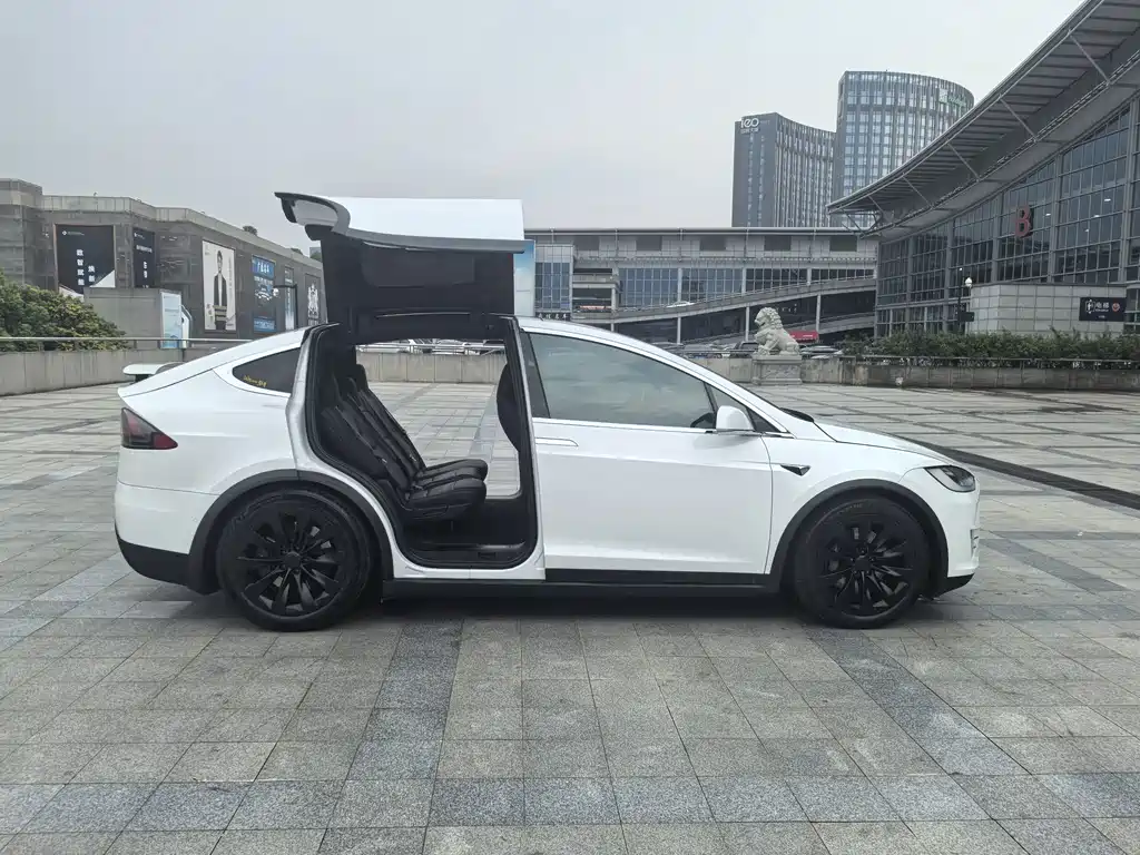 Tesla Model X — миниатюра 8