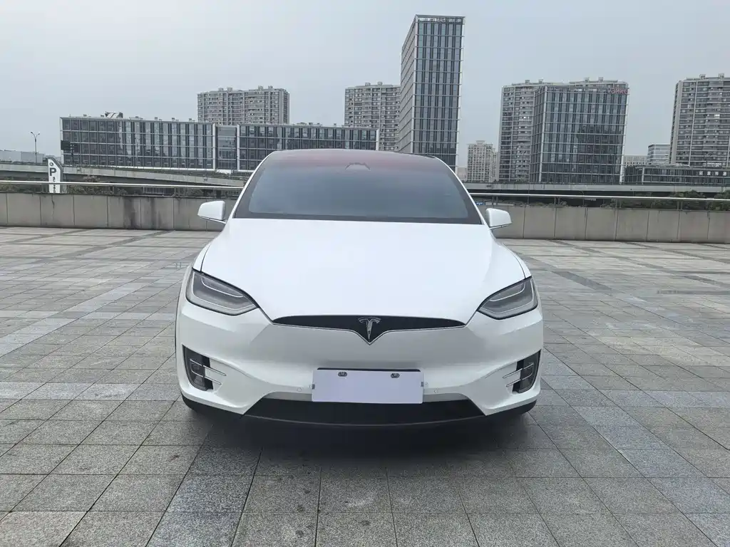 Tesla Model X — миниатюра 2
