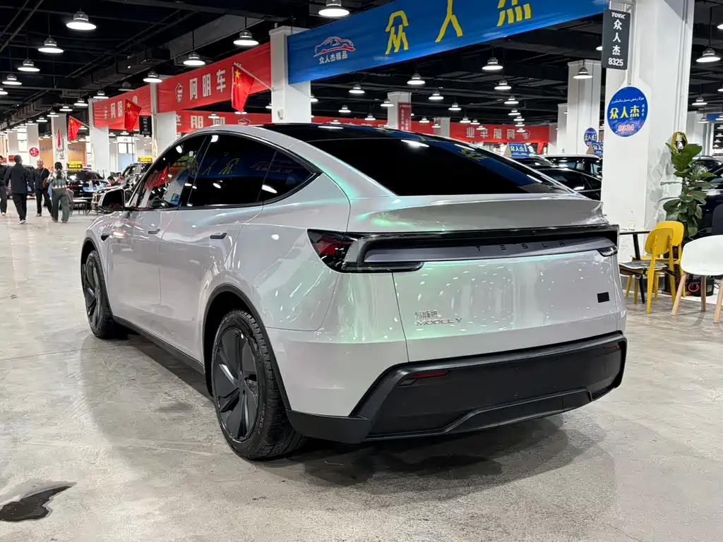 Tesla Model Y — миниатюра 9