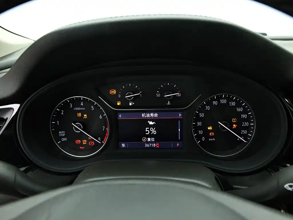 Buick Regal — миниатюра 10