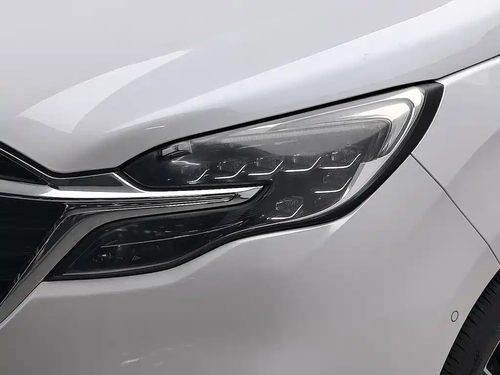 Buick GL8 — миниатюра 7