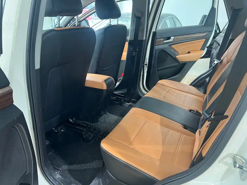 BAW Weiwang S50 — миниатюра 6