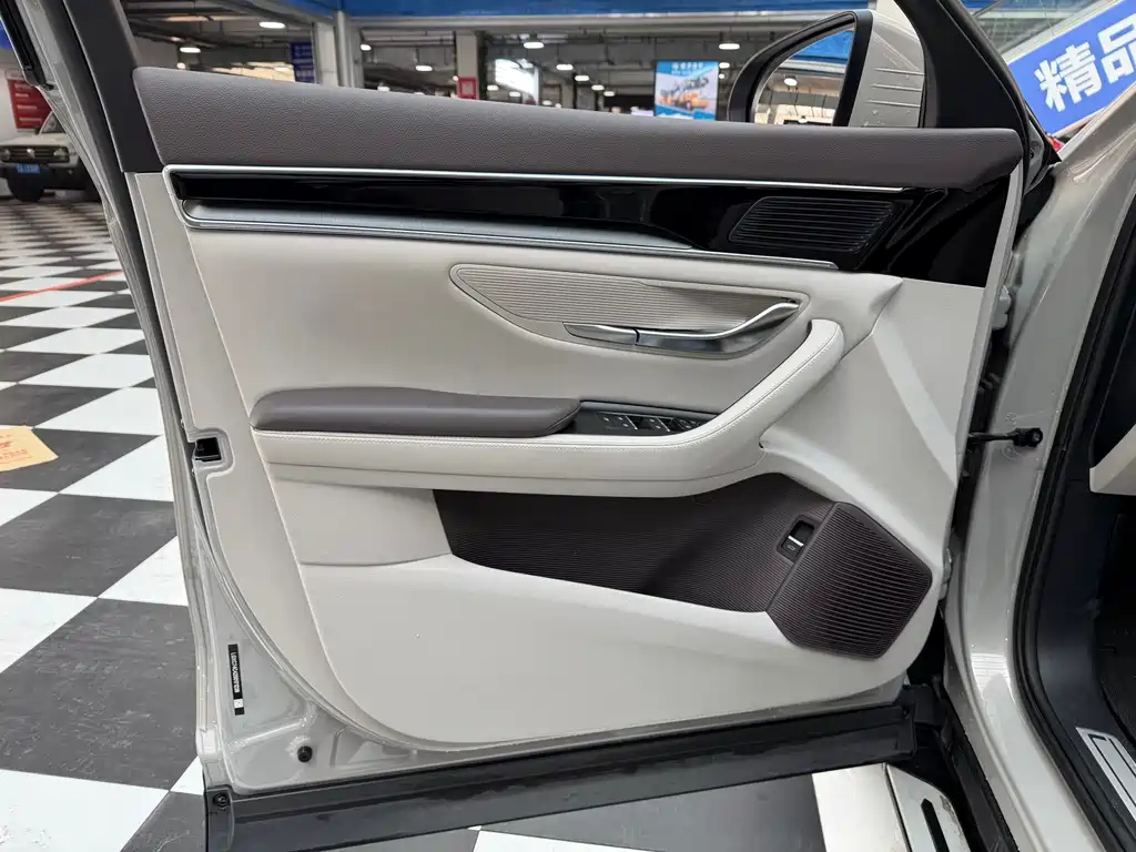 BYD SONGJIANG NEW ENERGY