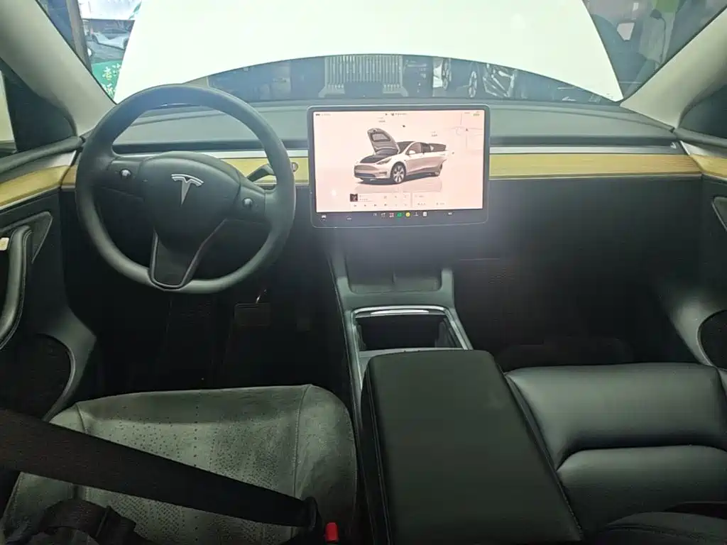 Tesla Model Y — миниатюра 10