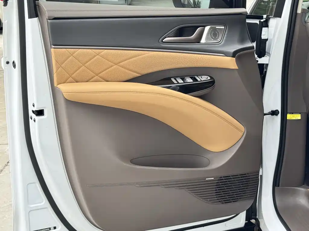 Denza Denza D9 — миниатюра 4