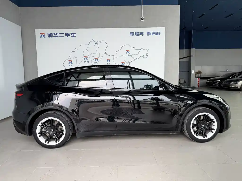Tesla Model Y — миниатюра 3