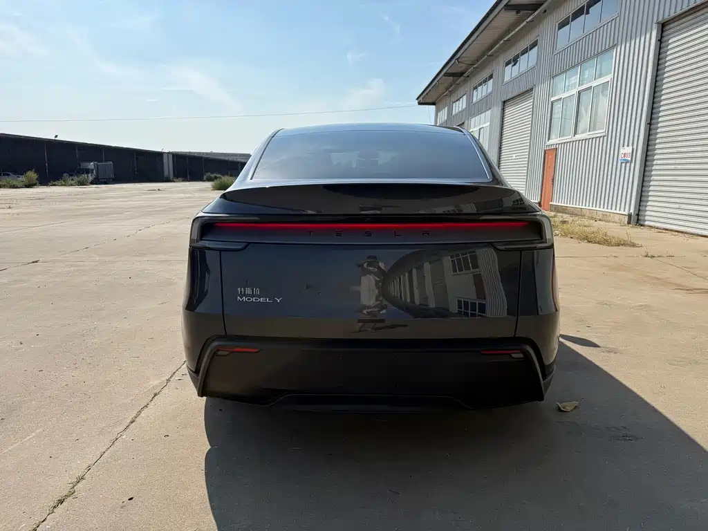 Tesla Model Y — миниатюра 8