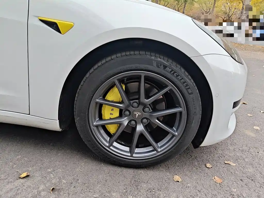 Tesla Model 3 — миниатюра 8