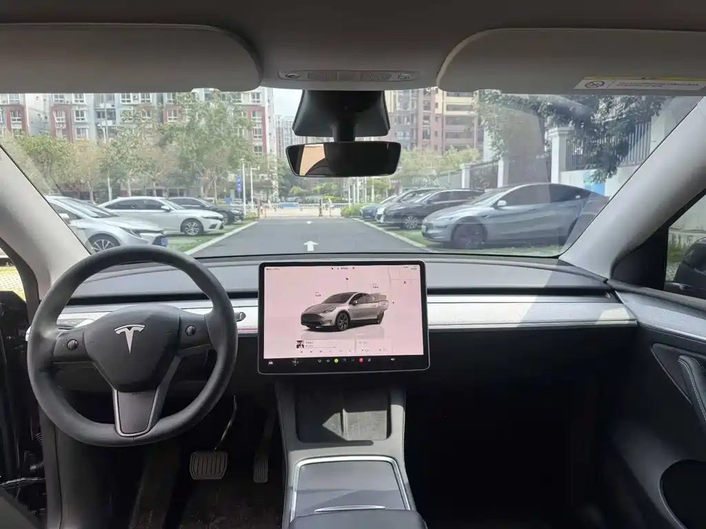Tesla Model Y — миниатюра 5