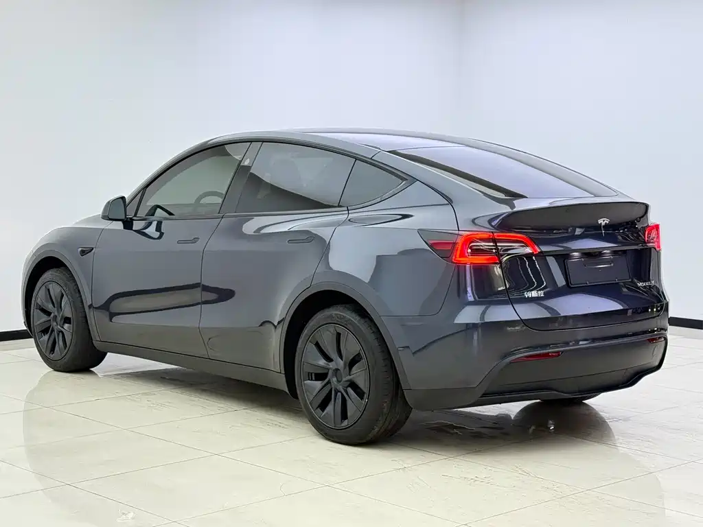 Tesla Model Y — миниатюра 12