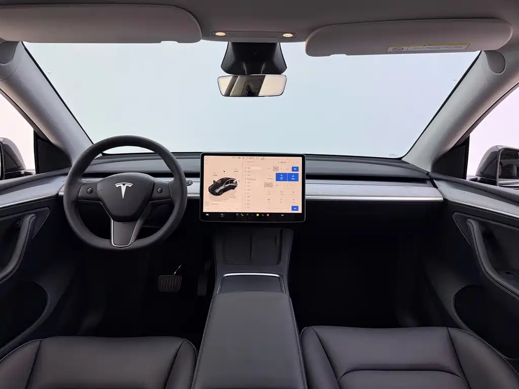 Tesla Model Y — миниатюра 8