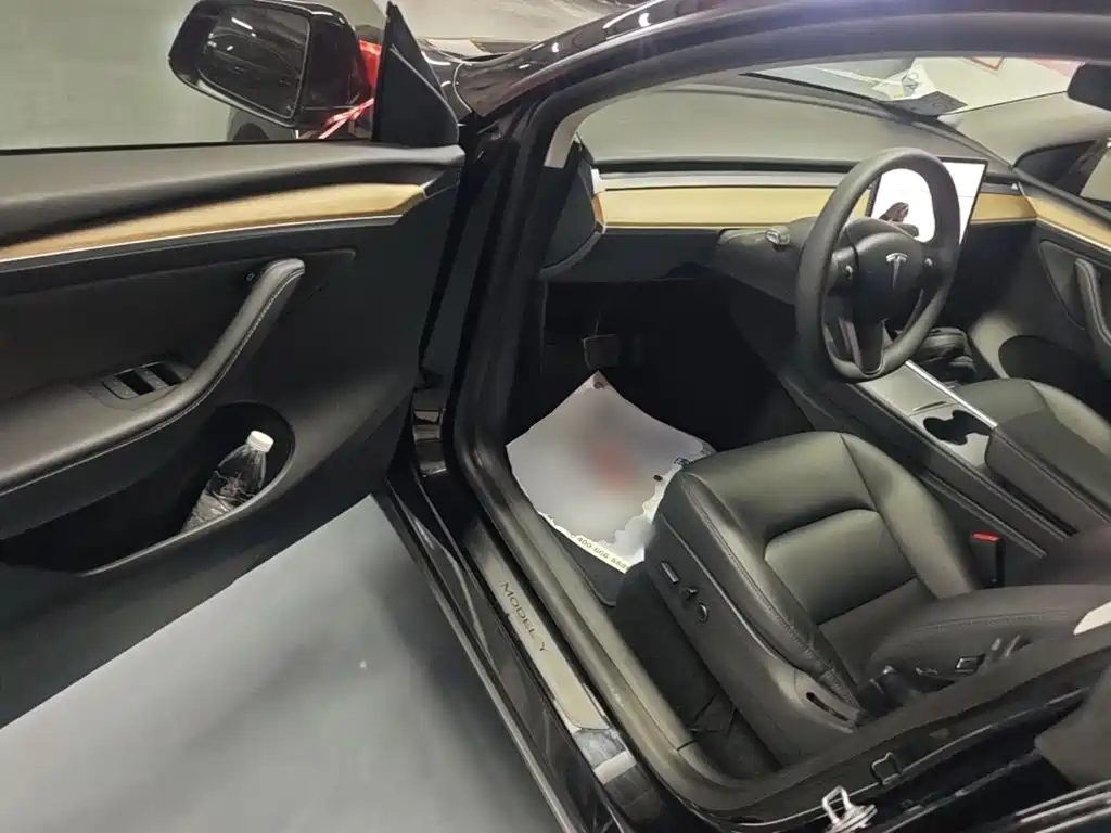 Tesla Model Y — миниатюра 16