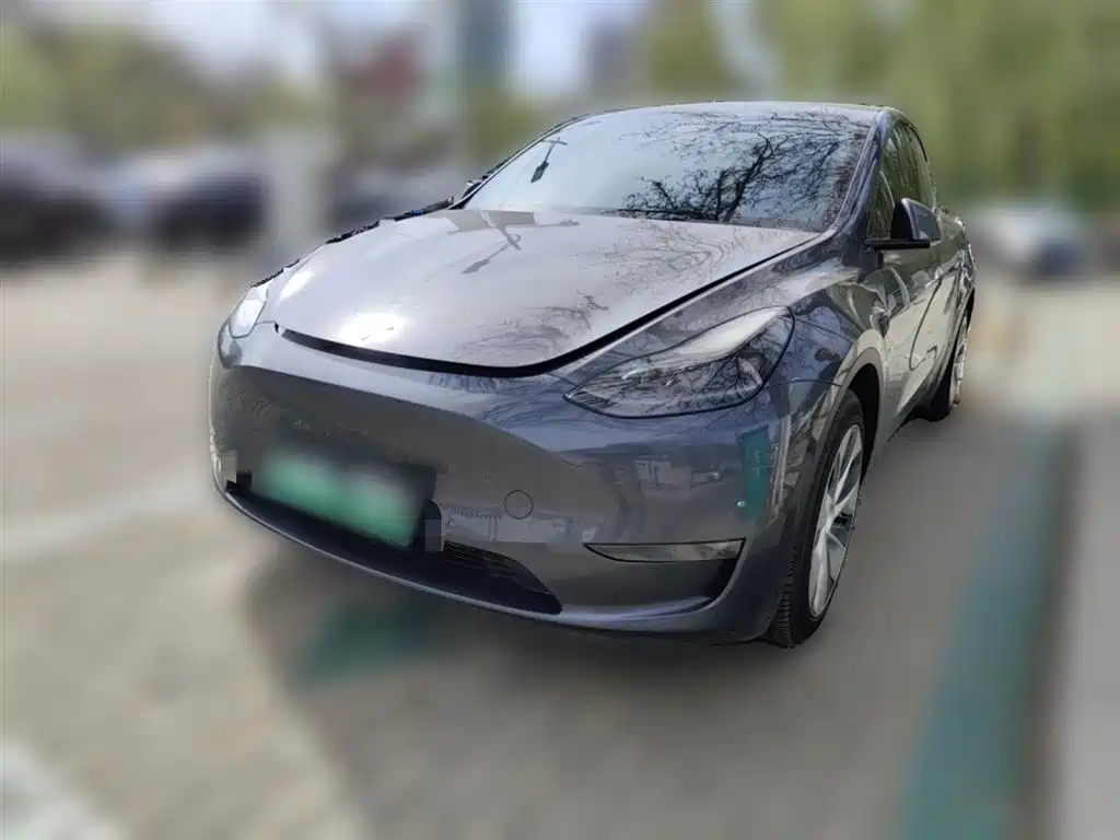 Tesla Model Y 2021