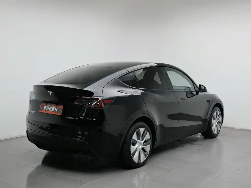 Tesla Model Y — миниатюра 2