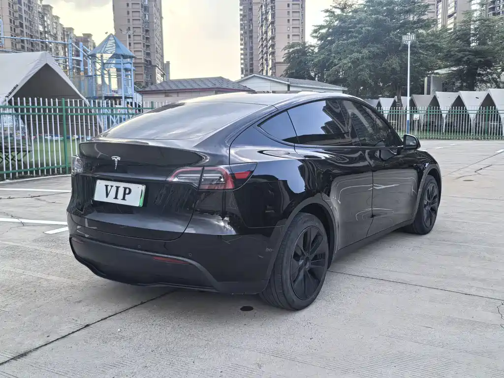 Tesla Model Y — миниатюра 7
