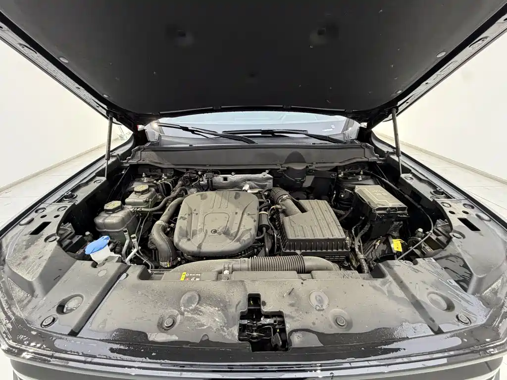 Haval Big Dog PLUS New Energy — миниатюра 21