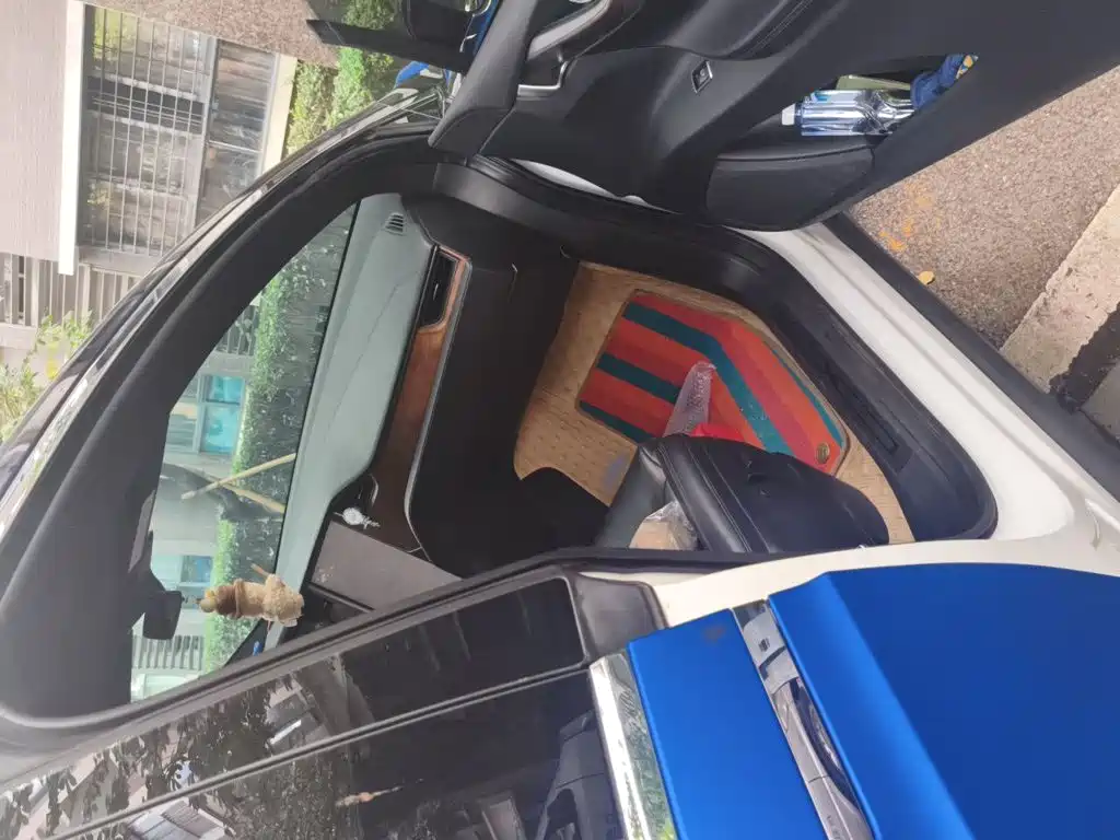 Tesla Model X — миниатюра 18