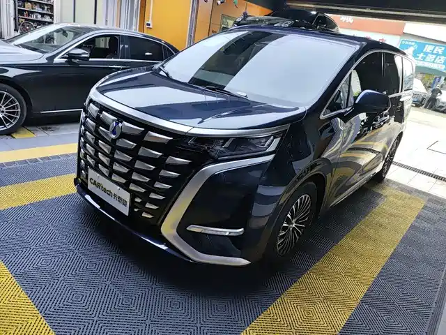 Denza D9