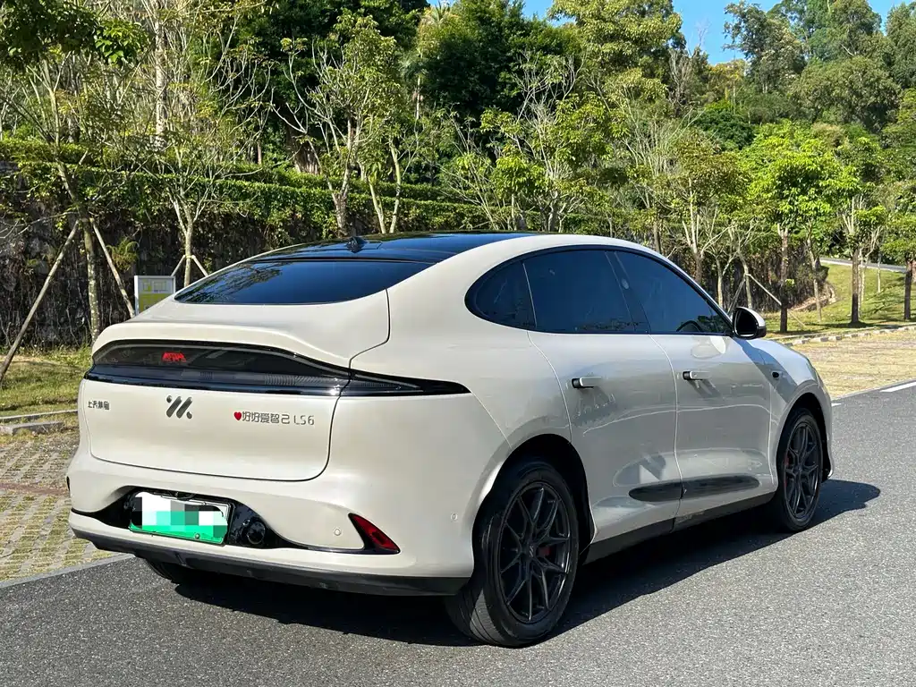 IM IM LS6 — миниатюра 12