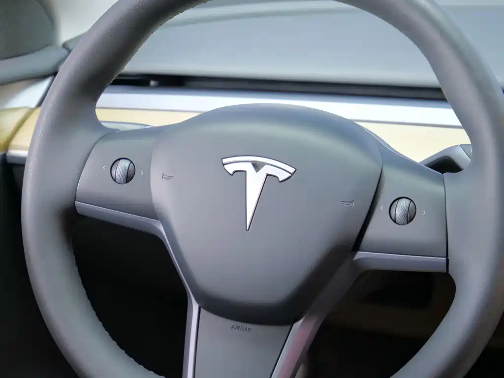 Tesla Model Y — миниатюра 10