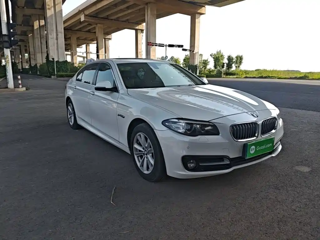 BMW 5 Series 5 2014 520Li Elegant