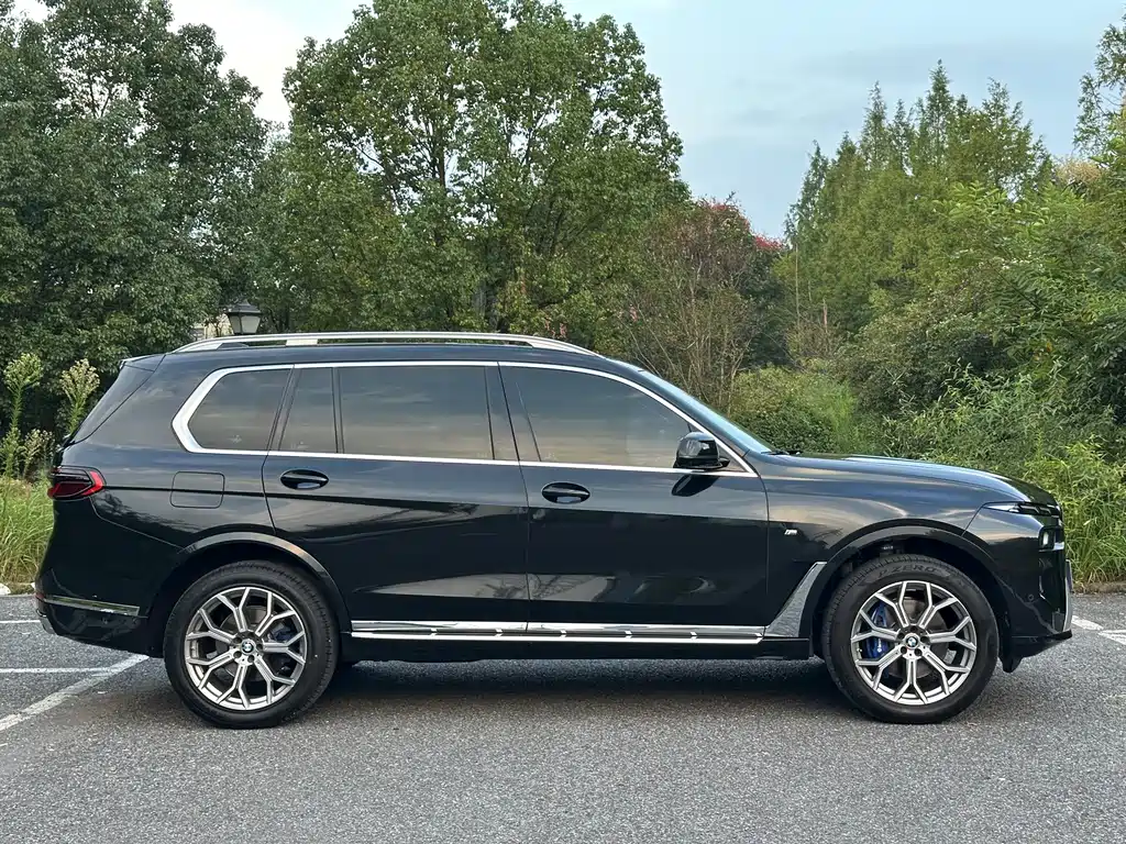BMW X7 — миниатюра 4