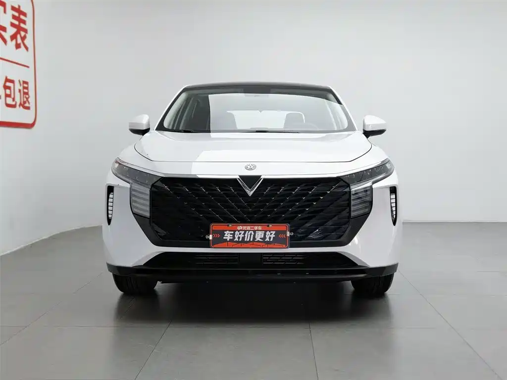 Venucia V 2021 260T