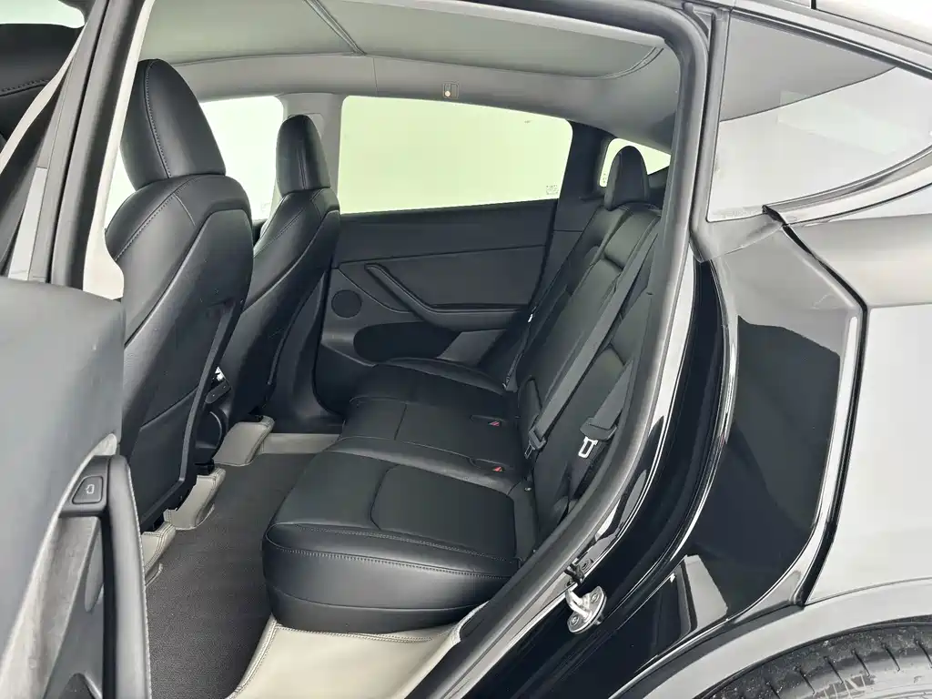 Tesla Model Y — миниатюра 8
