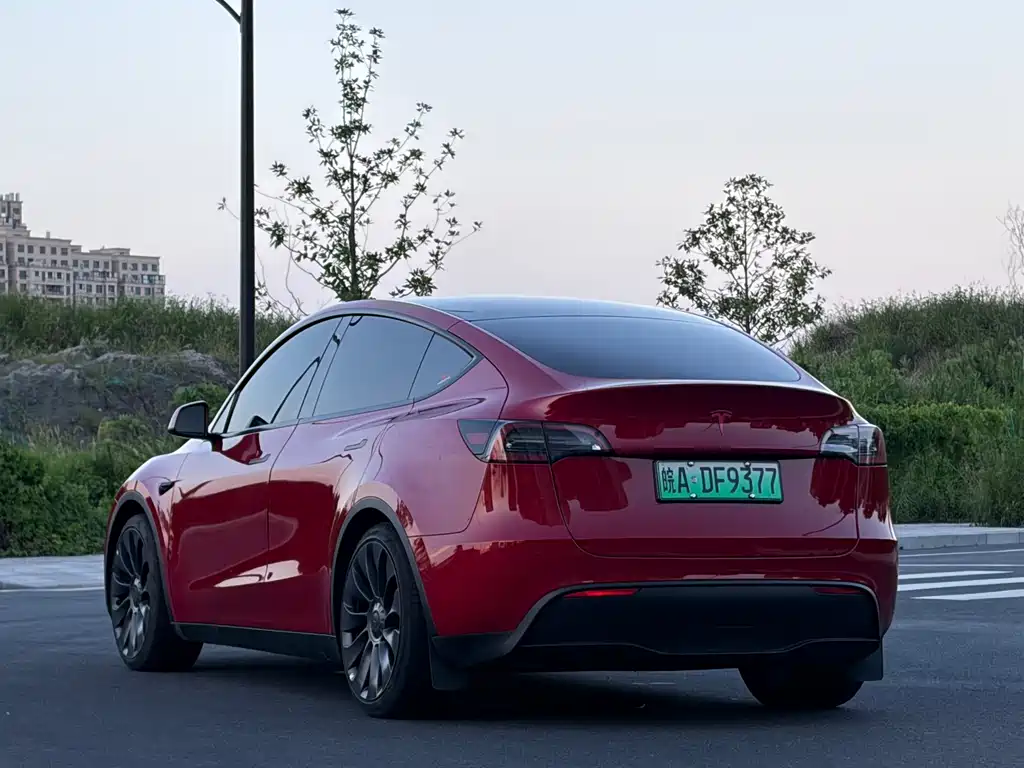 Tesla Model Y — миниатюра 4