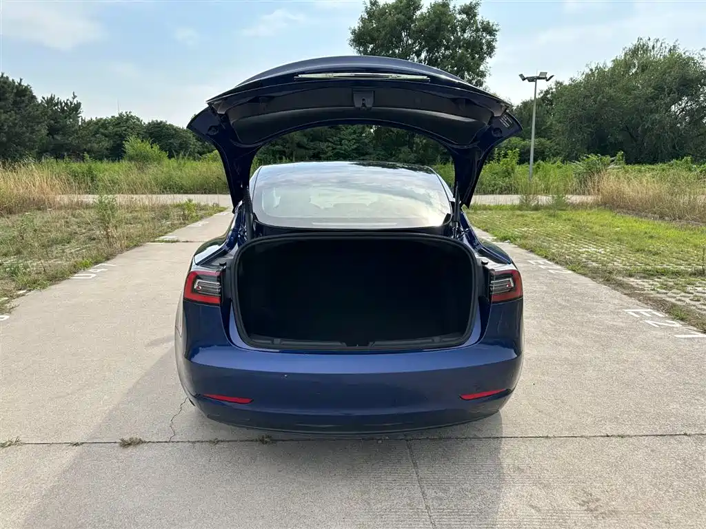 Tesla Model 3 2021 3D6