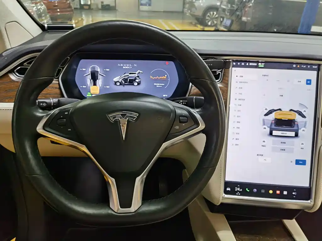 Tesla Model X — миниатюра 19