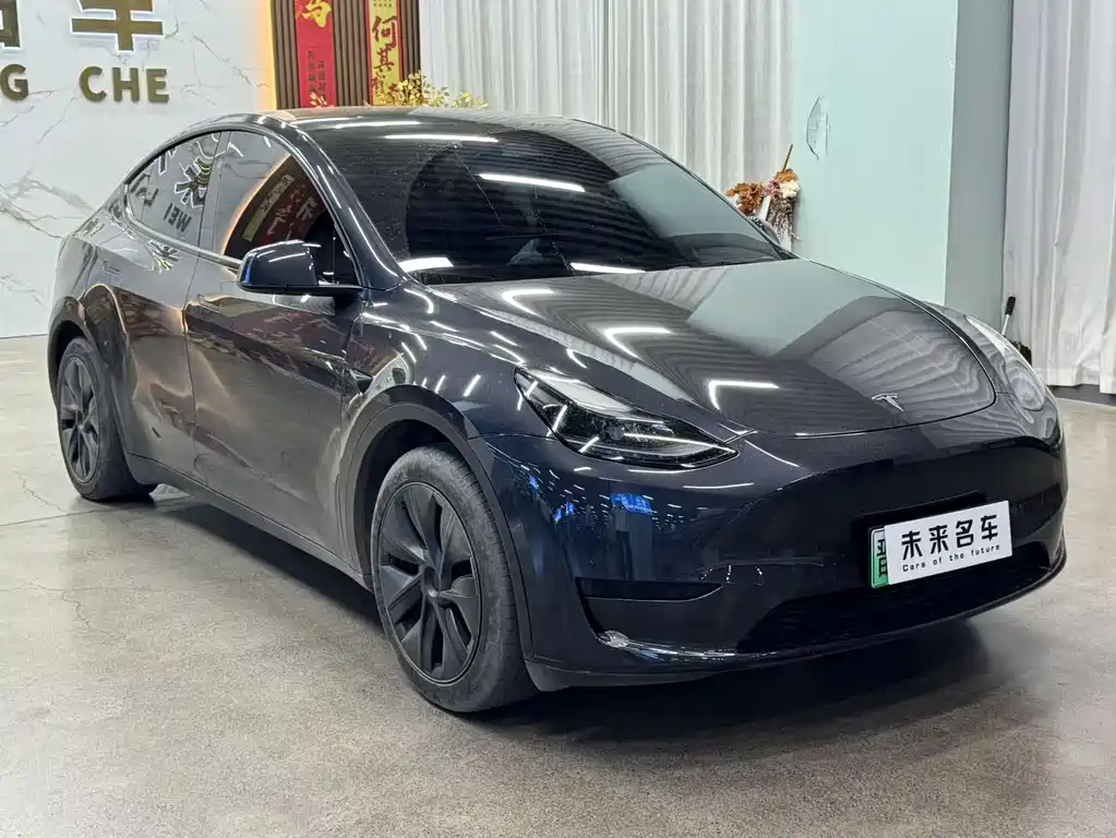 Tesla Model Y — миниатюра 3