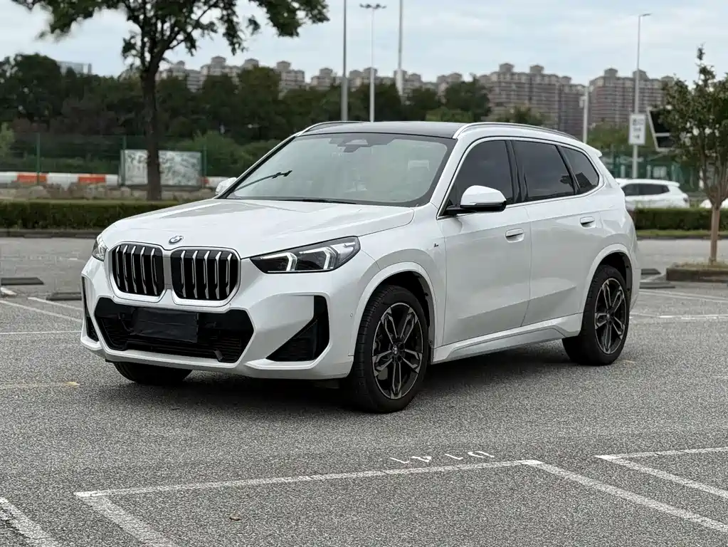 BMW X1 — миниатюра 2