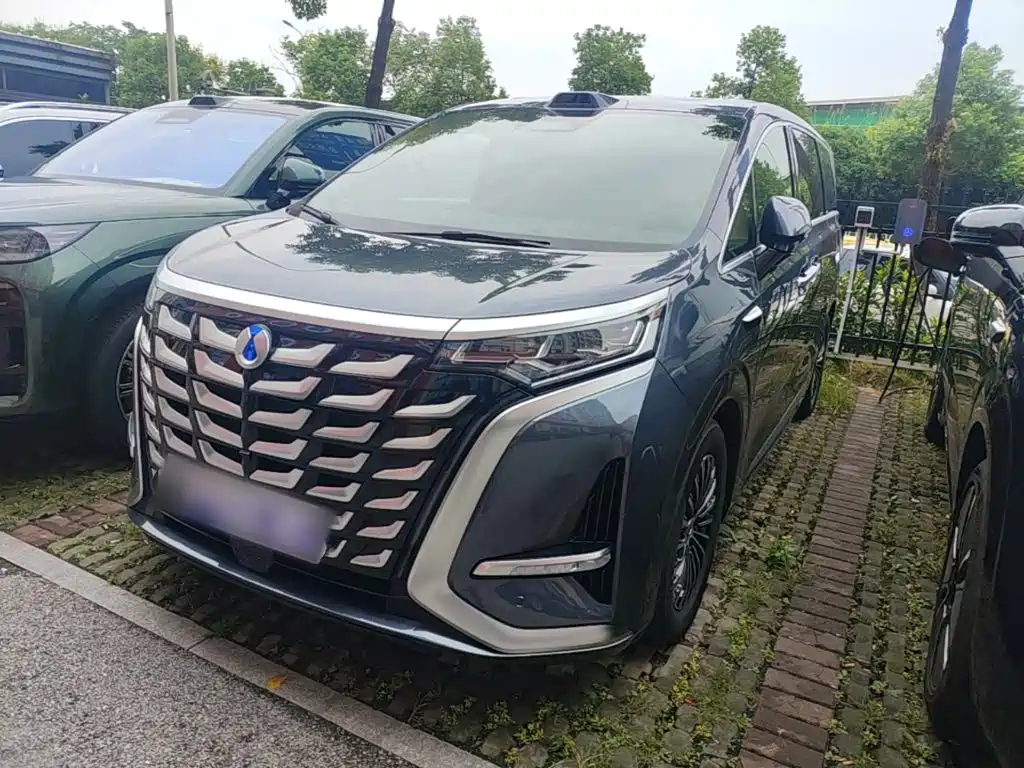 Denza Denza D9 — миниатюра 2