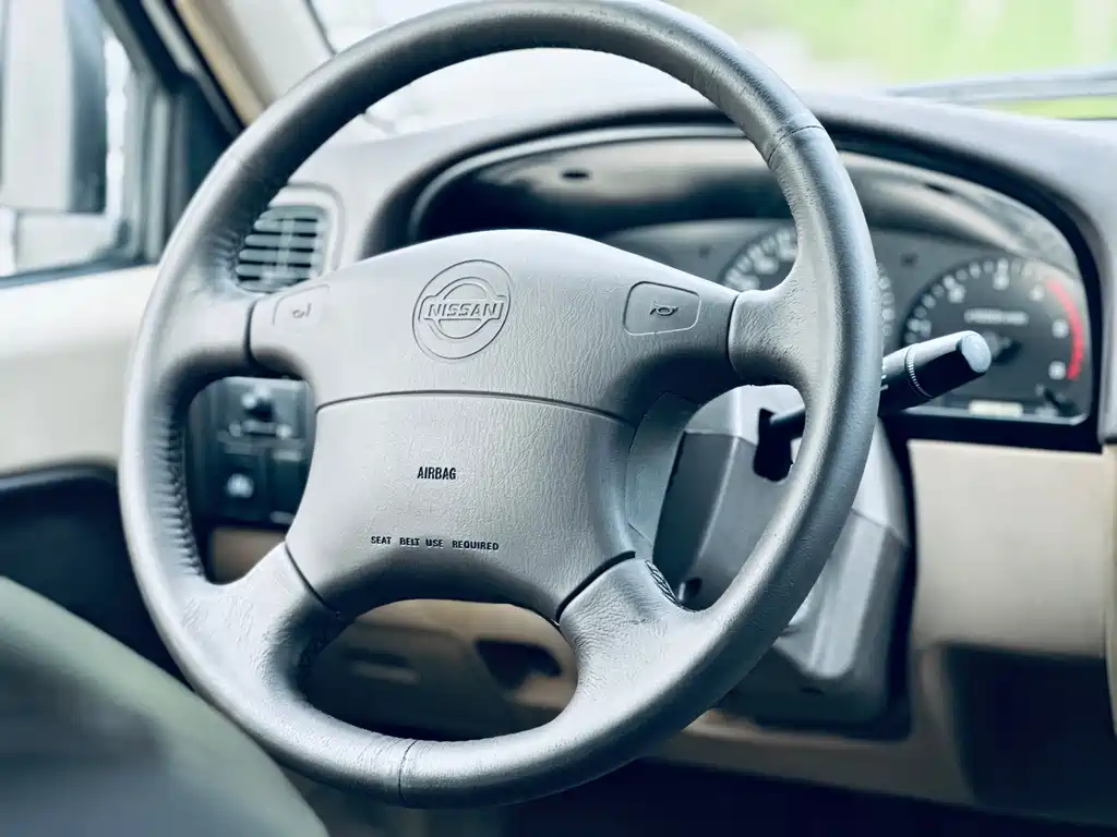Dongfeng Rich — миниатюра 10