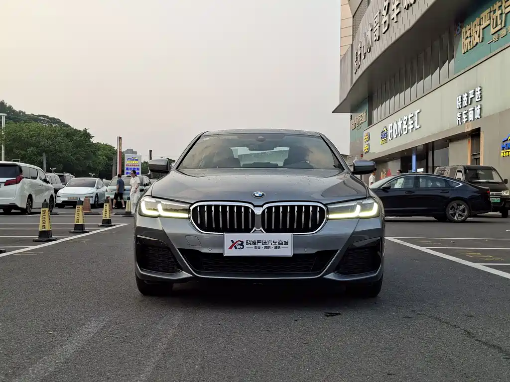 BMW 5 Series (Import) — миниатюра 2